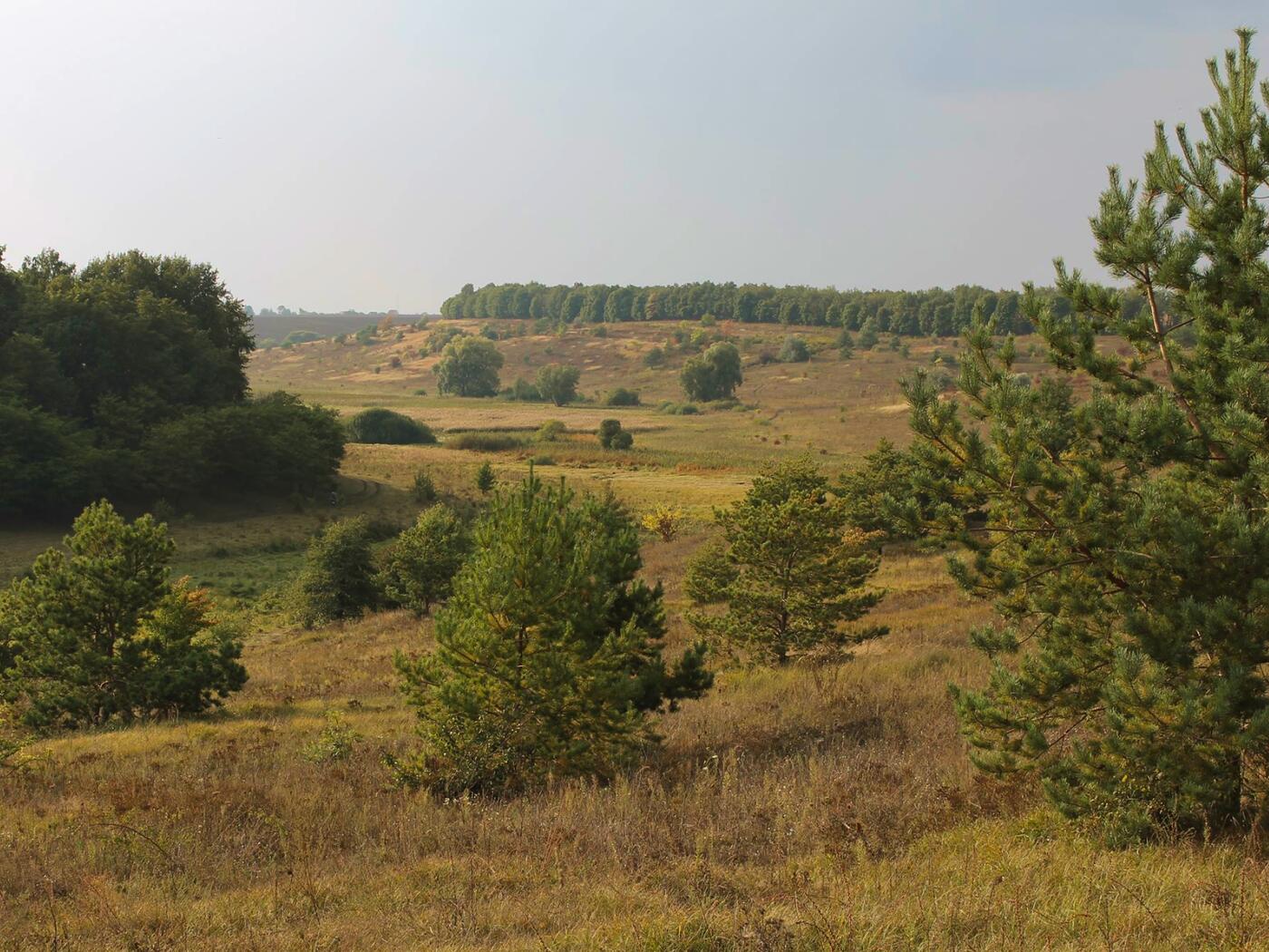 Приєднання до мережі с. Порадівка, Фастівський район