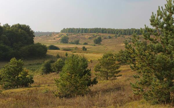 Приєднання до мережі с. Порадівка, Фастівський район