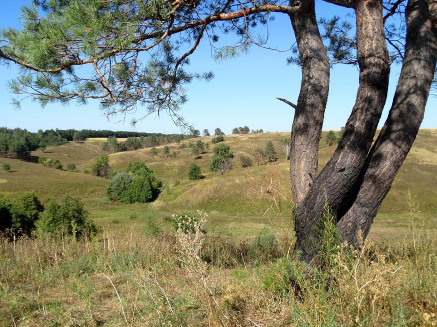 Велика Бугаївка отримує ще більше швидкості