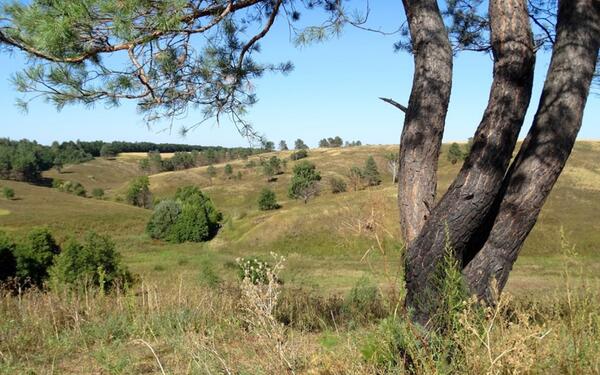 Велика Бугаївка отримує ще більше швидкості